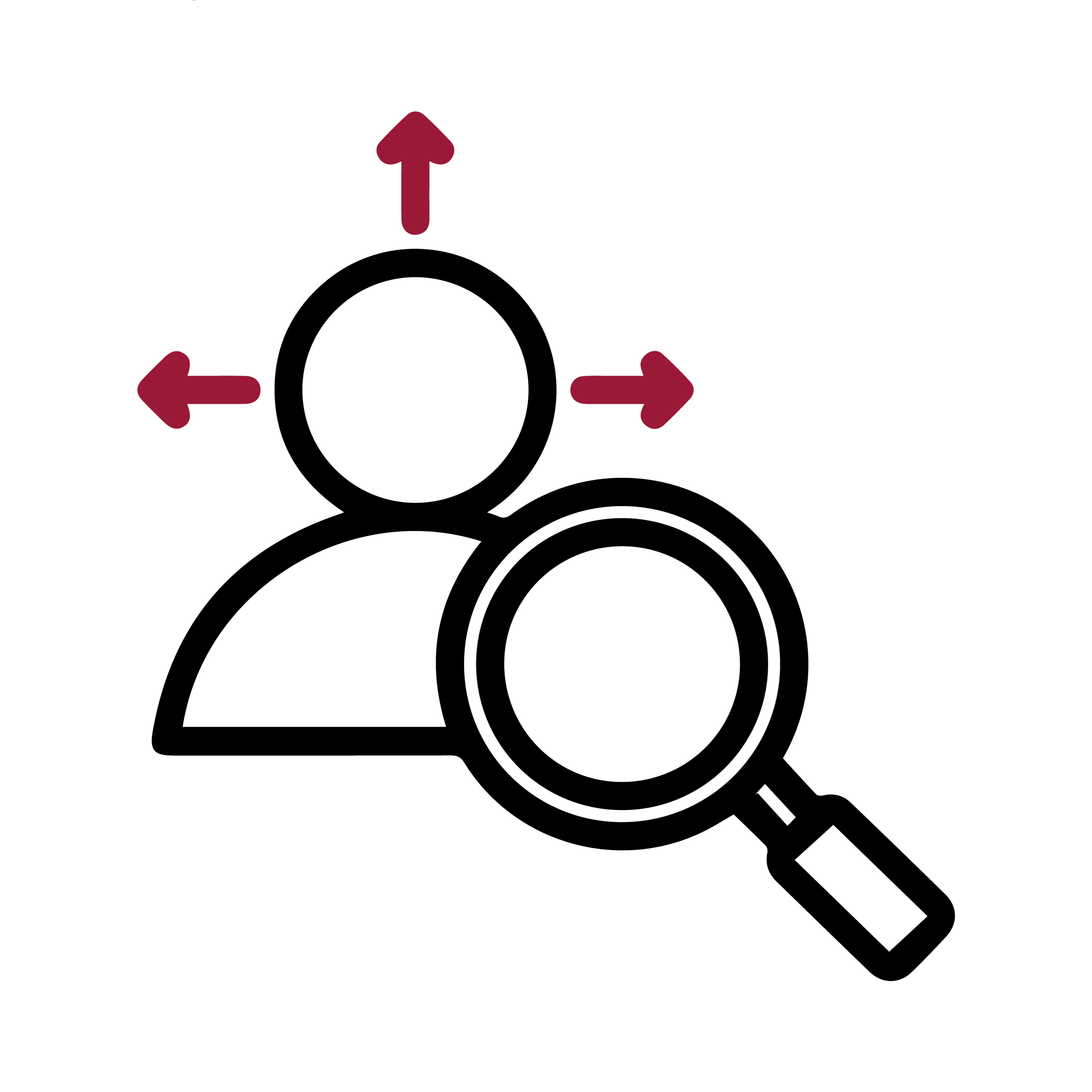 Managed Service Provider (MSP) 